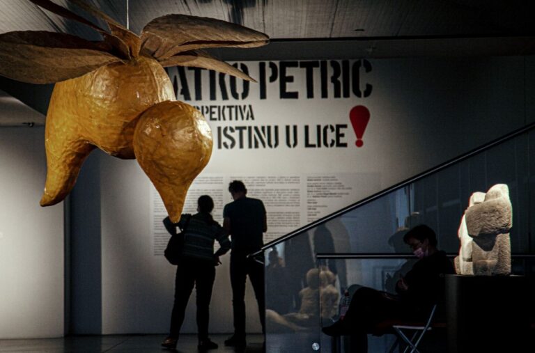Epoha Portal Kolumna Branka Hlevnjak Kultura