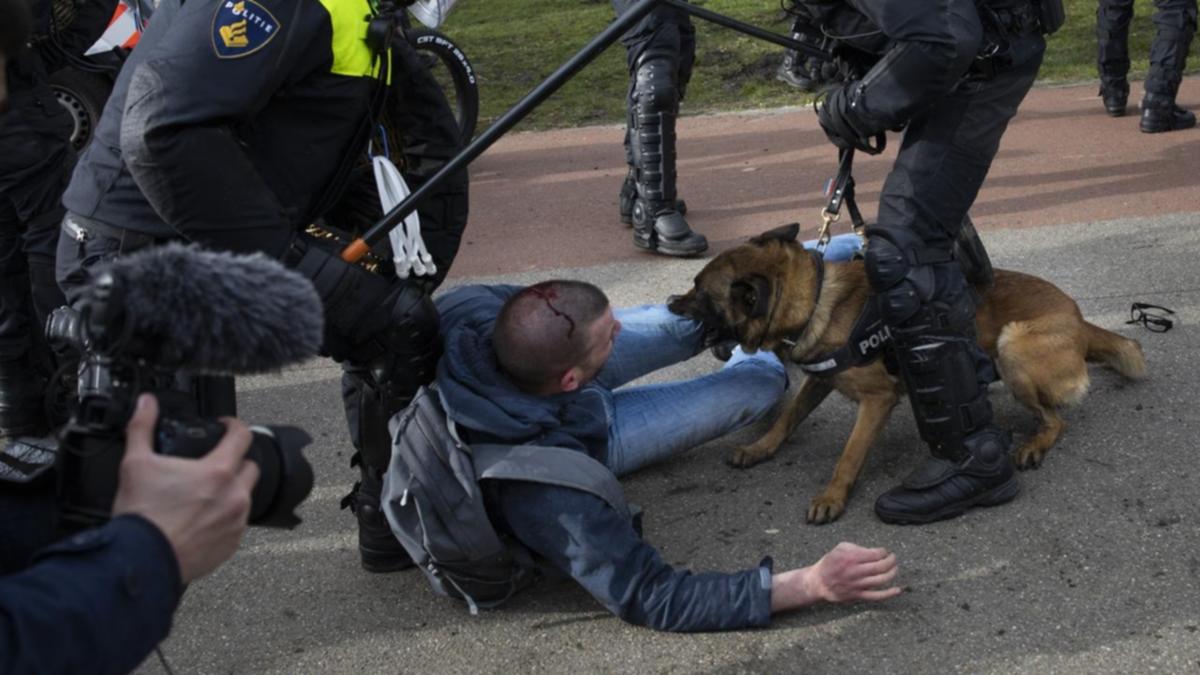 Read more about the article Šokantno – krvoločni policijski psi pušteni na prosvjednike u Amsterdamu