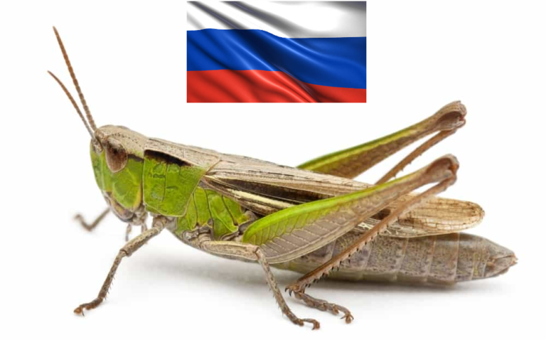 Epoha Portal Matija Varga
