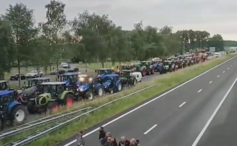 Epoha Portal Ranka Vojnović