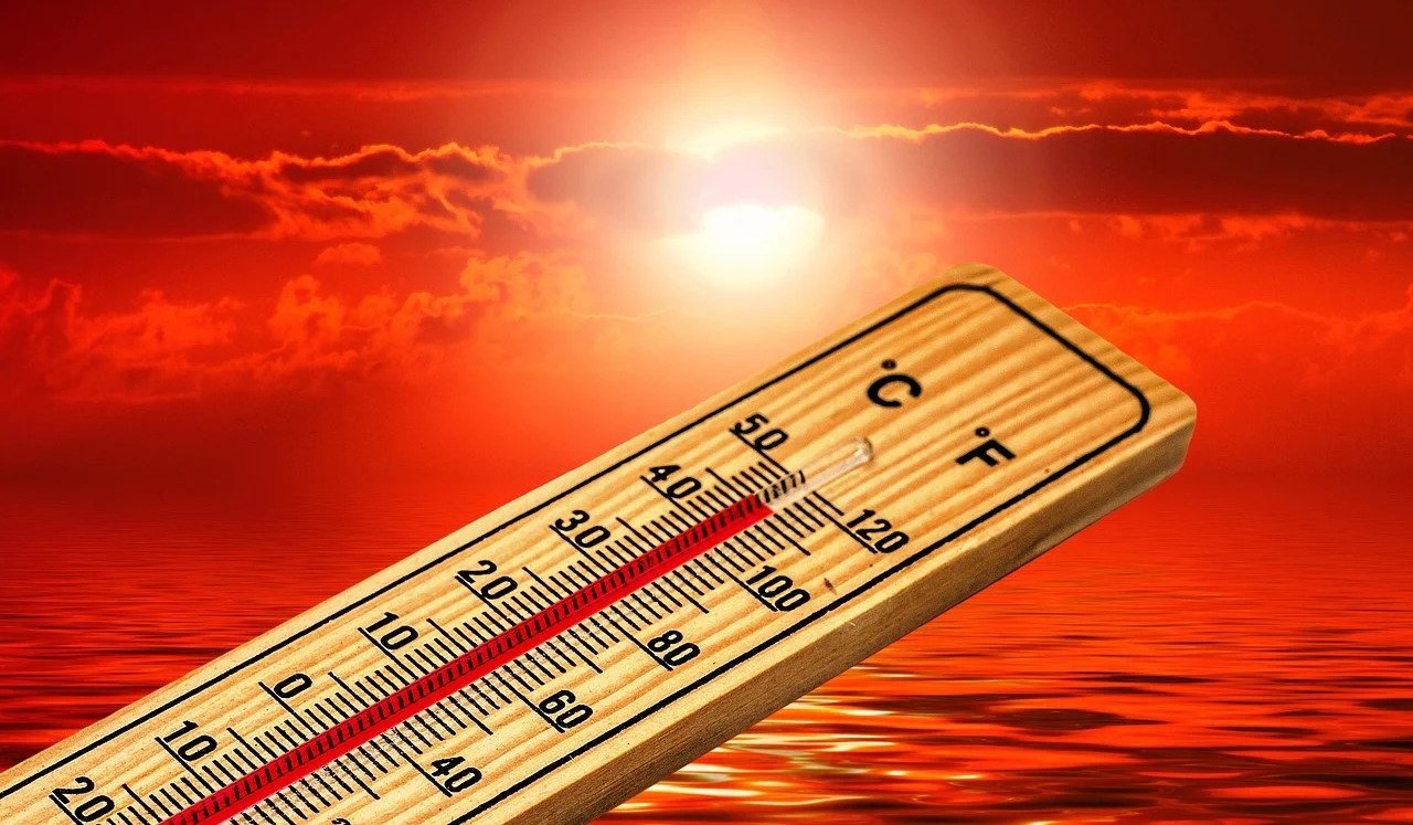 Read more about the article Klimatska katastrofa! Od toplotnog udara u Španjolskoj i Portugalju više stotina ljudi preminulo od toplotnog udara
