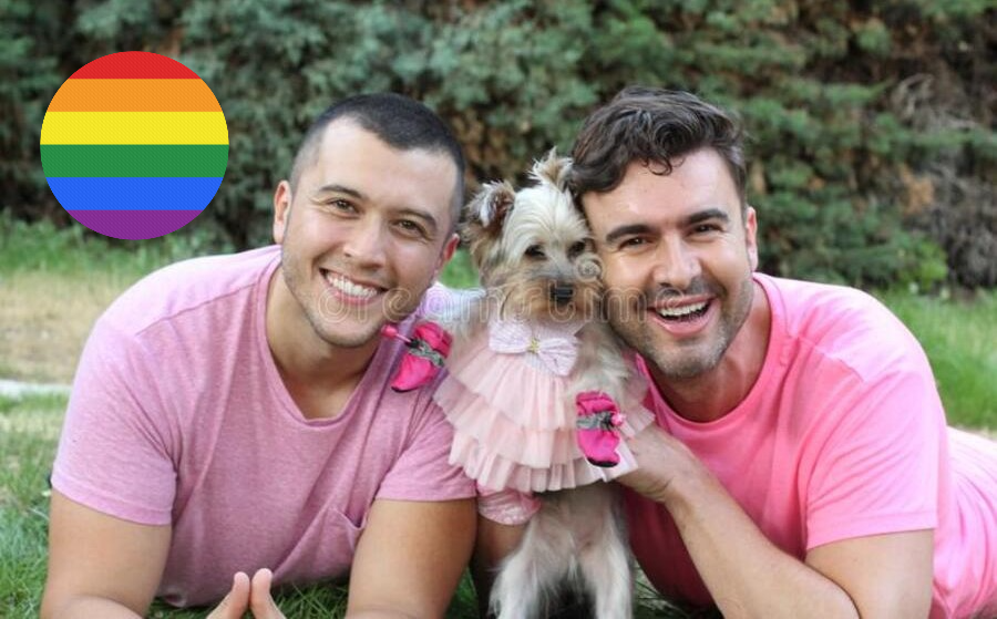 Read more about the article Stravično – Gay par imao odnose sa svojim psom i zarazili ga majmunskim boginjama