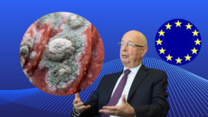Epoha Portal Elia Pekica Pagon