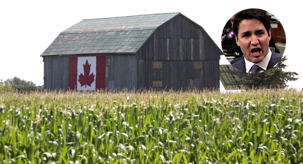 Read more about the article Tri kanadske provincije rekle NE Trudeauovoj klimatskoj politici i uništavanju farmera