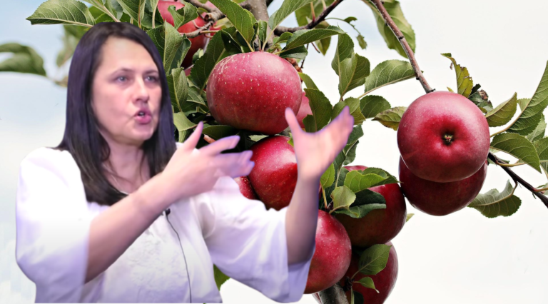 Epoha Portal Slađana Velkov