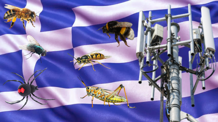 Epoha Portal Alen Liverić