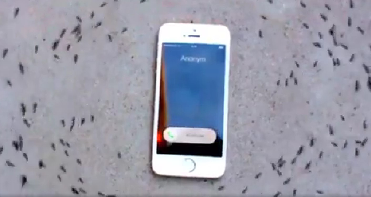 Epoha Portal Mobitel