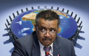 Epoha Portal Tedros
