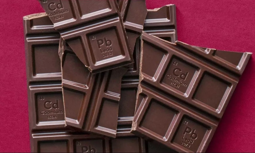 Epoha Portal Željka Blažun