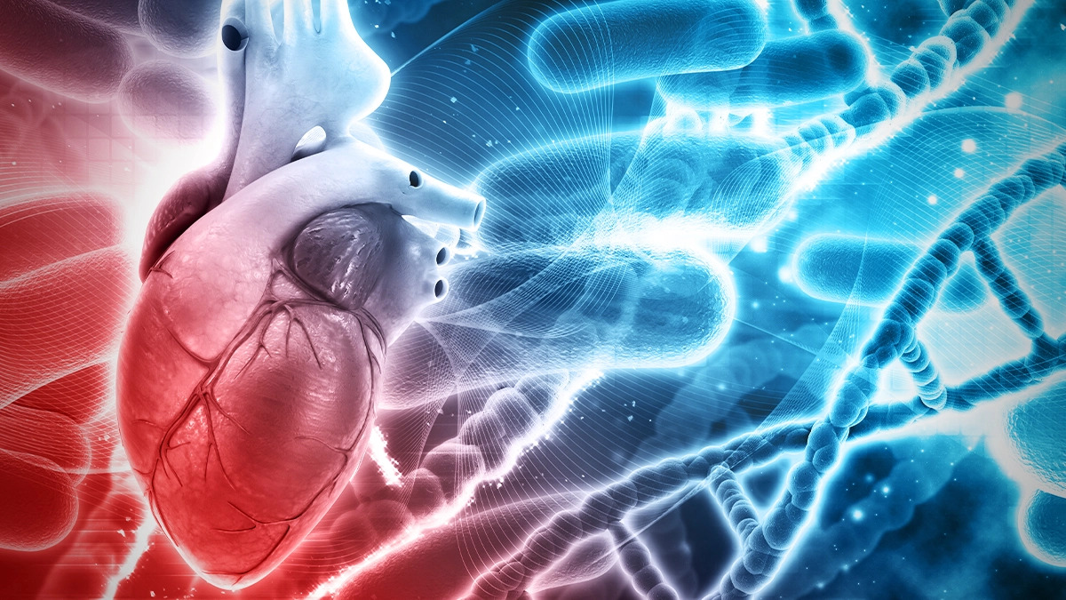 Read more about the article Testovi su započeli: Moderna ubrizgava novi mRNA pripravak izravno u srce srčanih bolesnika