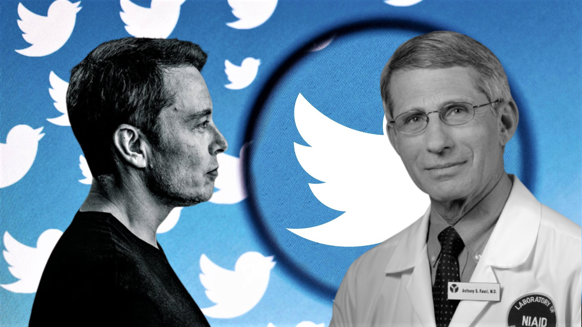 Epoha Portal Elon Musk Fauci