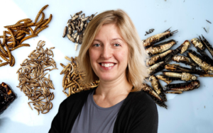 Epoha Portal Sanja Marčetić