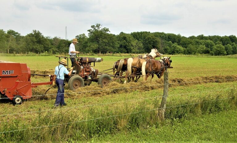 Epoha Portal nizozemski farmeri