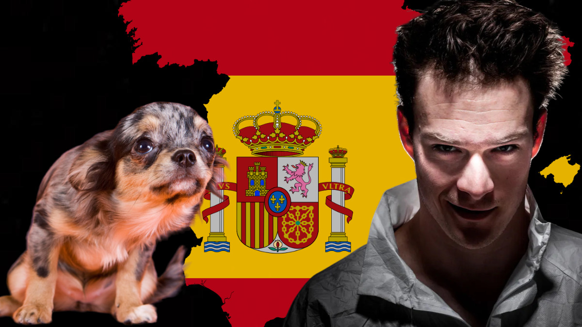Read more about the article Terrible: Spain legalized sex with animals