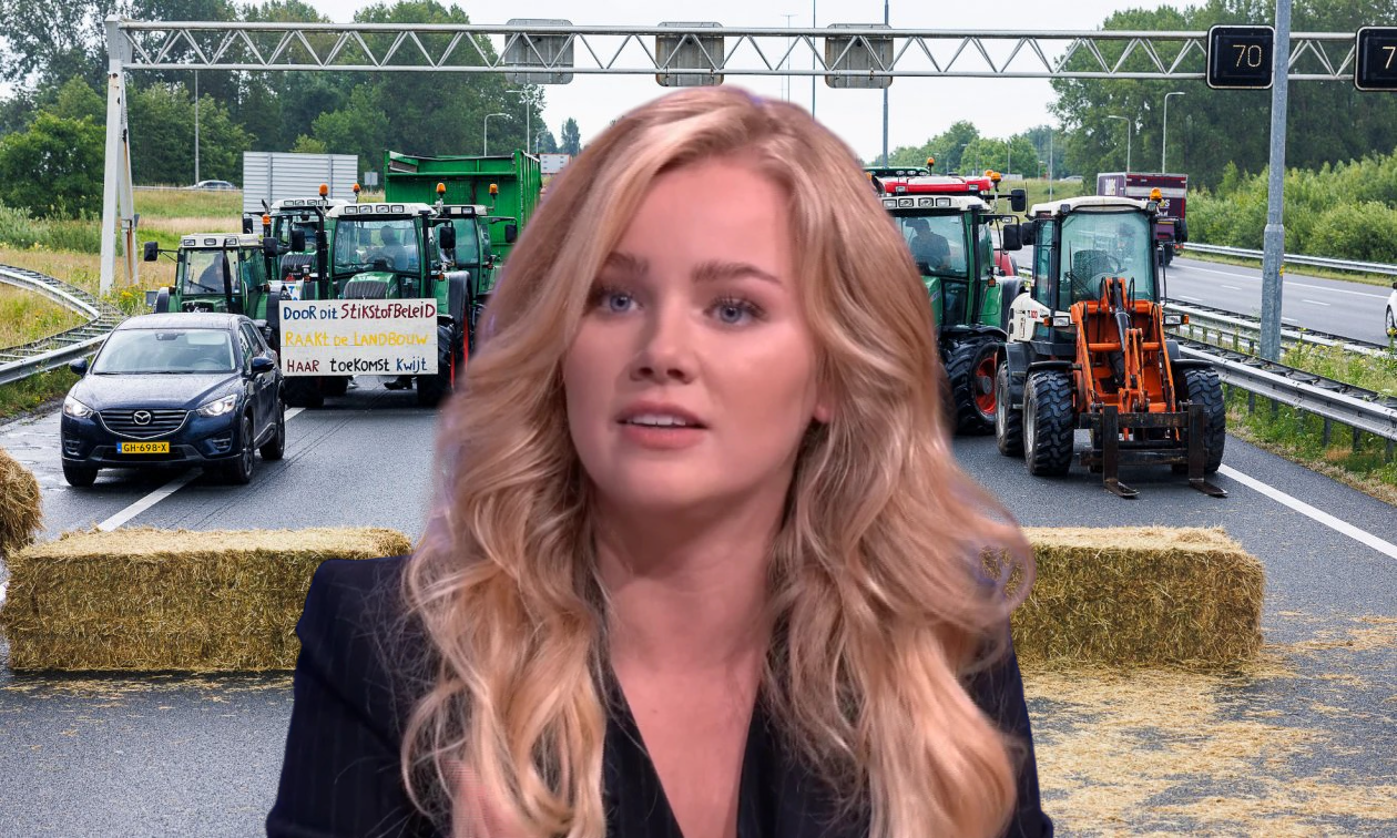 Read more about the article Nizozemska političarka 𝐄𝐯𝐚 𝐕𝐥𝐚𝐚𝐫𝐝𝐢𝐧𝐠𝐞𝐫𝐛𝐫𝐨𝐞𝐤, moli za zaštitu nizozemskih farmera od globalističke agende
