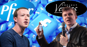 Epoha Portal Željka Blažun