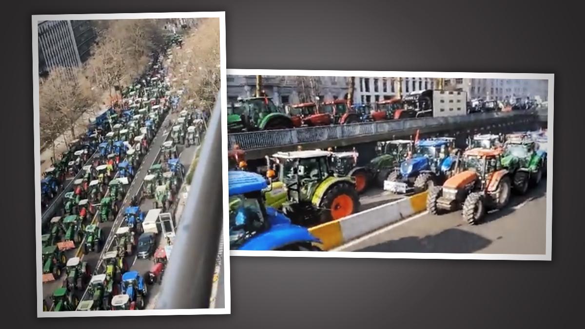Read more about the article Prosvjed protiv uništavanja poljoprivrede: Farmeri paralizirali Bruxelles tisućama traktora
