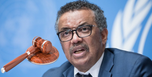Epoha Portal Tedros