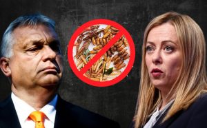 Epoha Portal Filip Turkalj