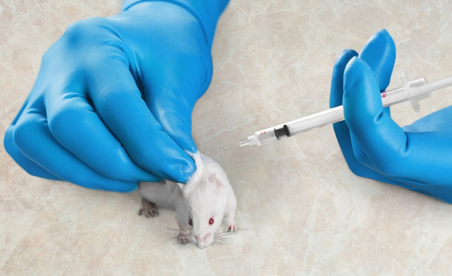 Read more about the article Kinezi tvrde: Miševe smo izliječili od raka dojke u dva tjedna