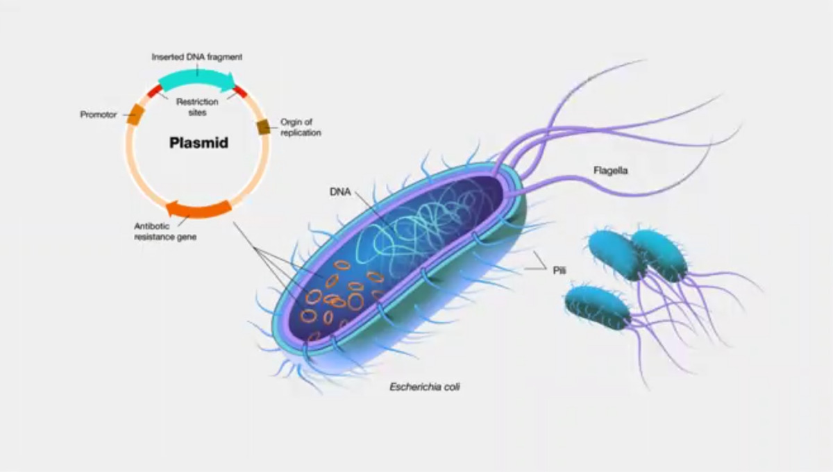 Epoha Portal Dario Novak