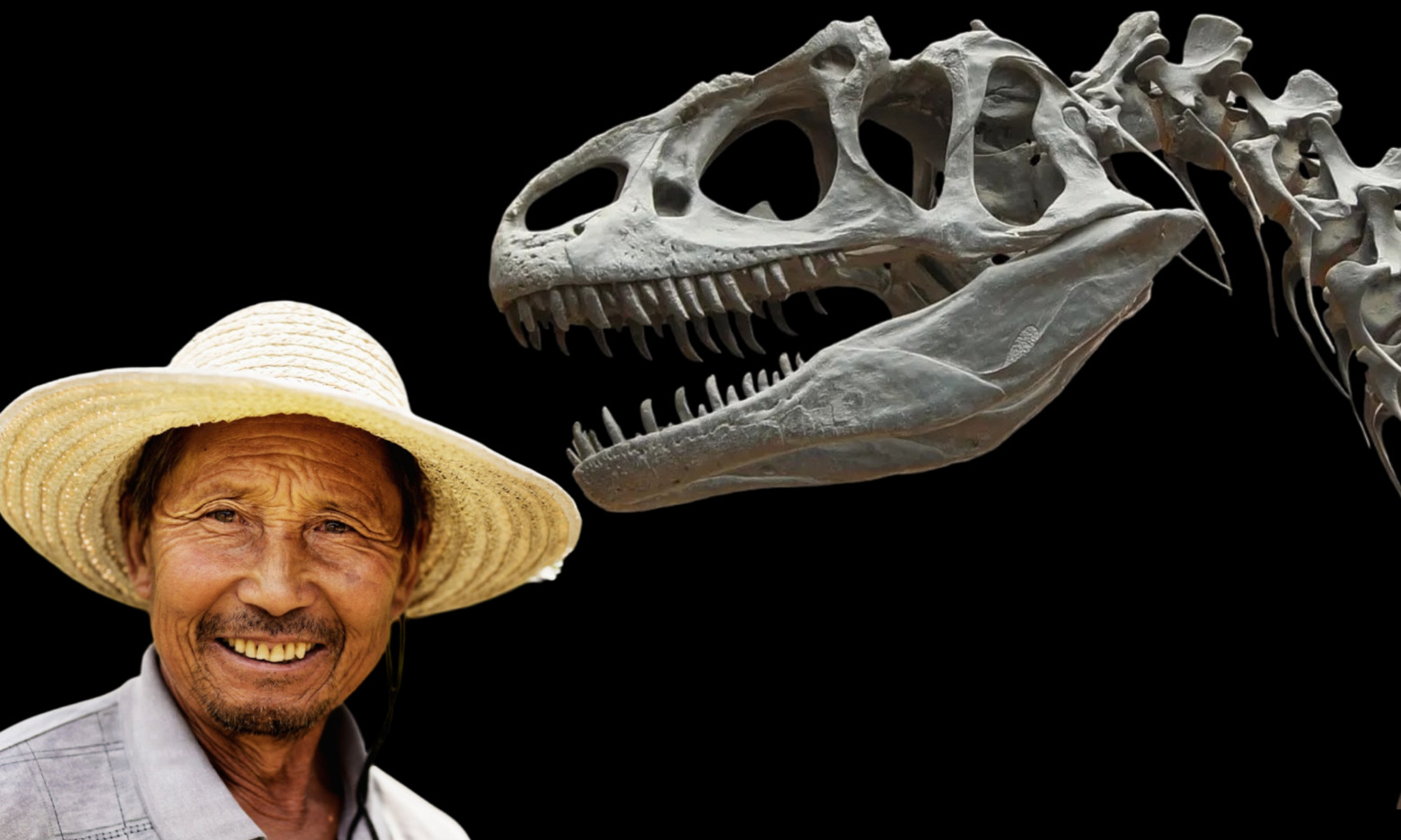 Read more about the article Kineski seljani tvrde da su jeli kosti drevnih dinosaura