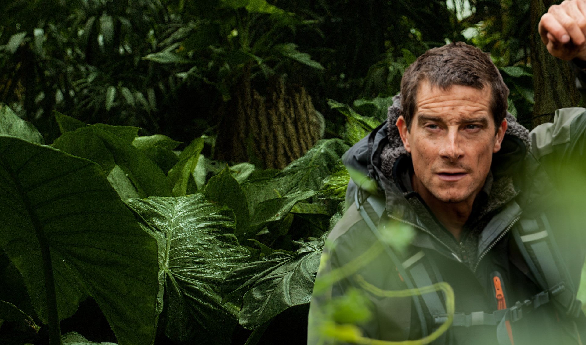 Epoha Portal Bear Grylls