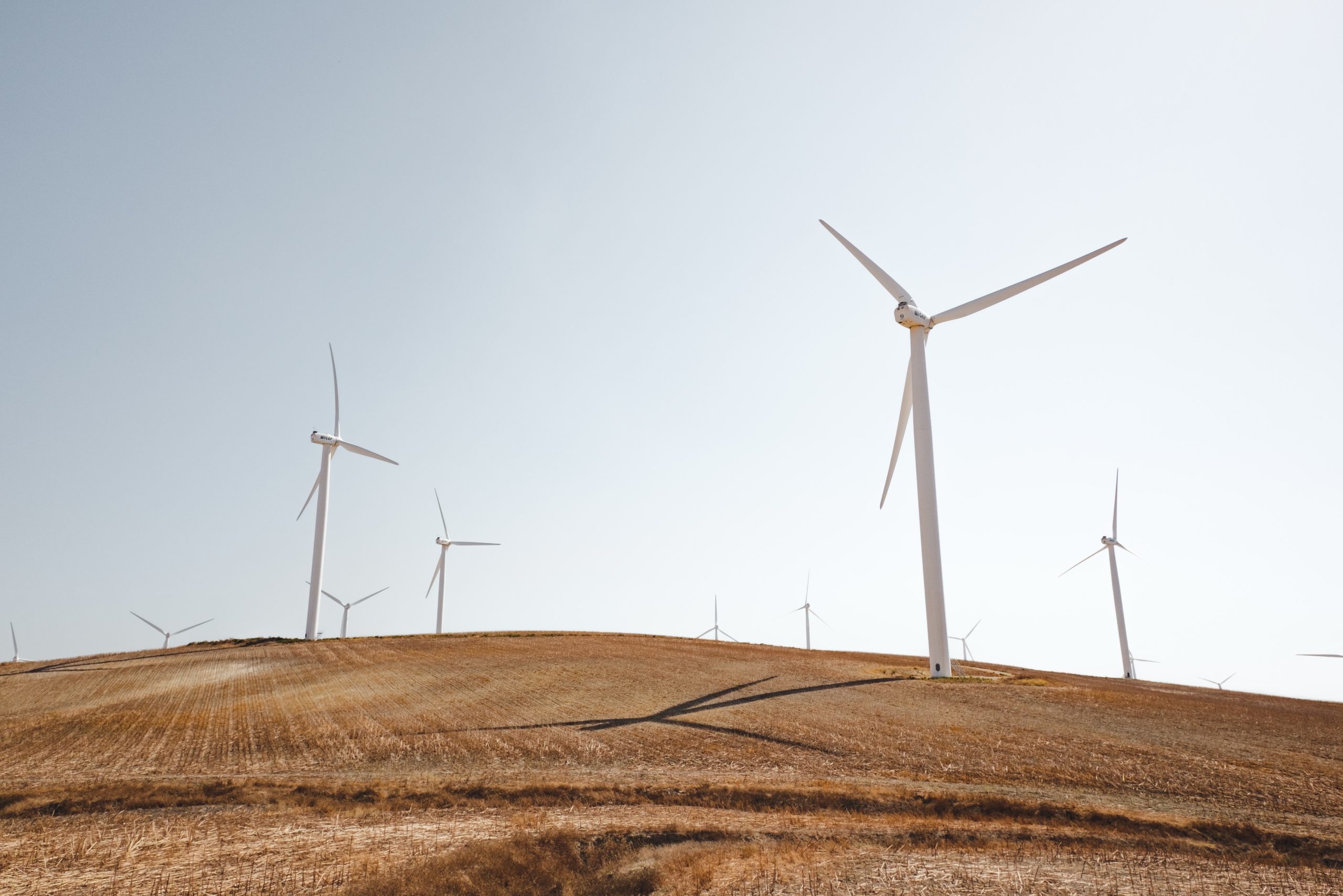 Read more about the article Njemačka naglo povećala broj vjetroelektrana