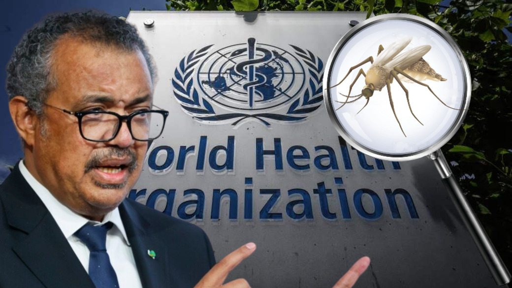 Epoha Portal Dario Novak