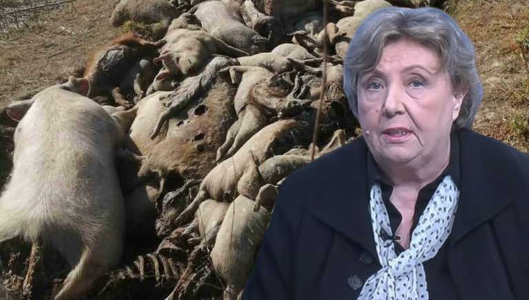 Epoha Portal Nada Jurinčić