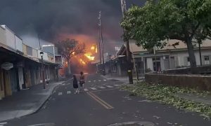 Epoha Portal Željka Blažun