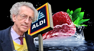 Epoha Portal Elia Pekica Pagon Piers Corbyn