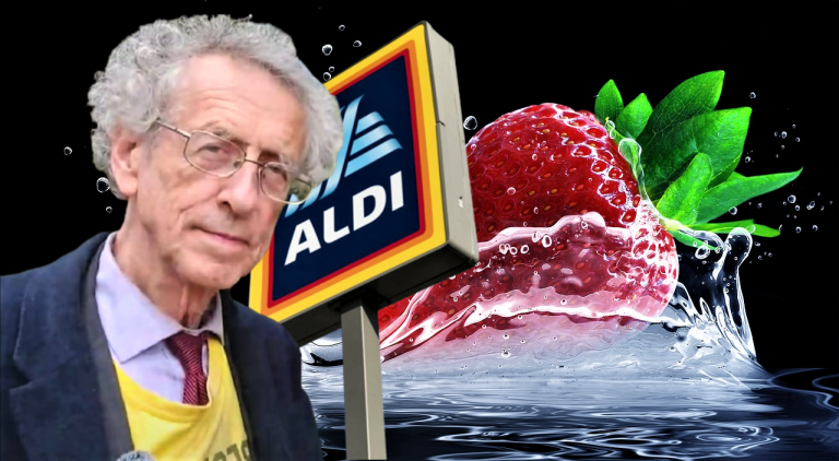 Epoha Portal Elia Pekica Pagon Piers Corbyn