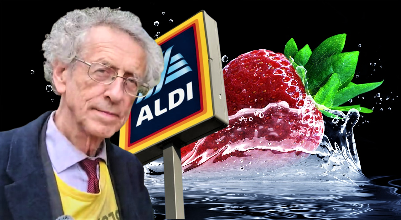 Epoha Portal Elia Pekica Pagon Piers Corbyn
