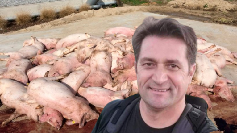 Epoha Portal Predrag Livak