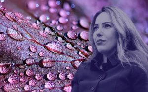 Epoha Portal Elia Pekica Pagon