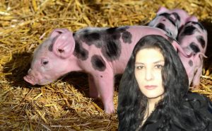 Epoha Portal Ines Knežević