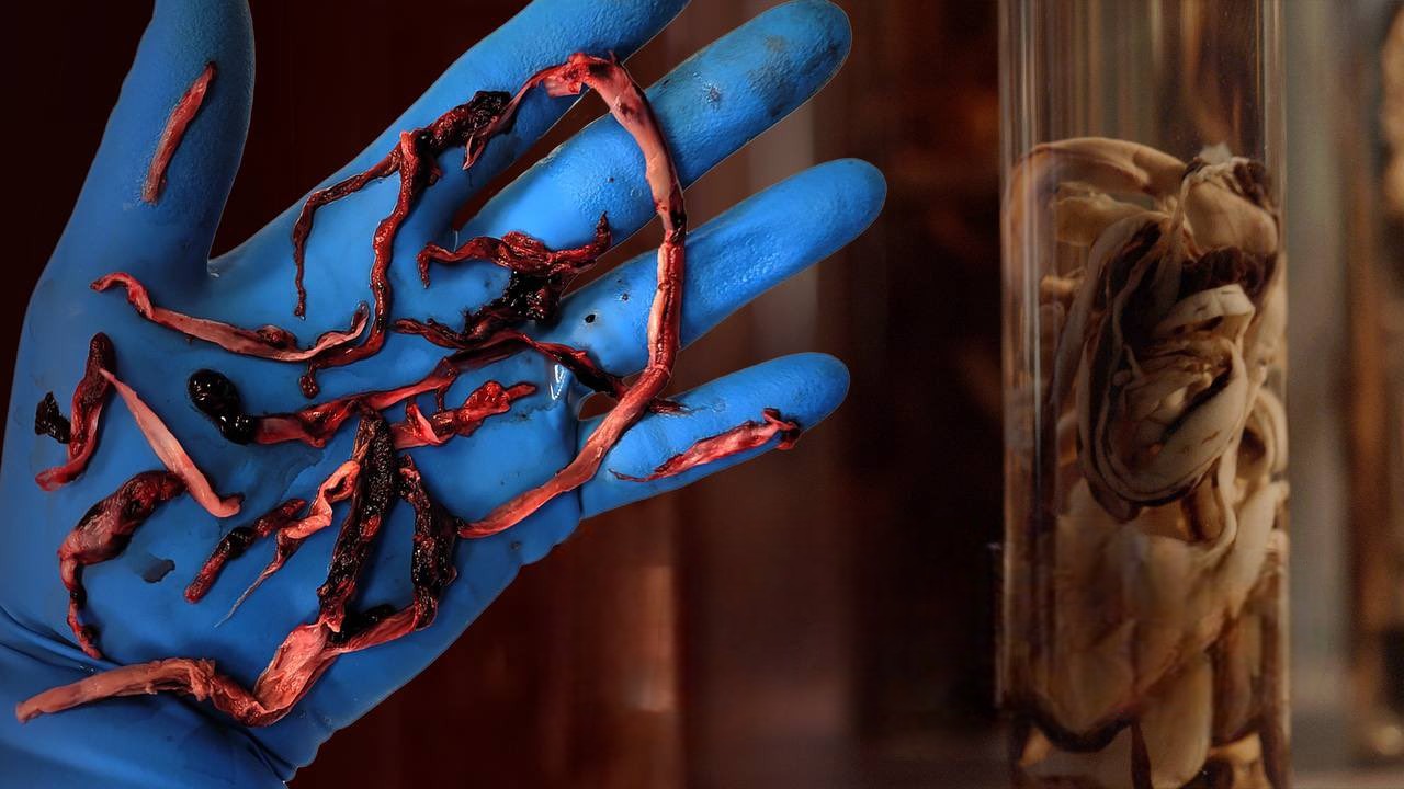 Epoha Portal Dario Novak