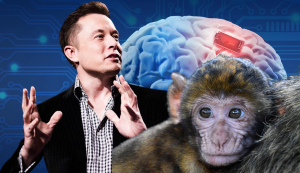 Epoha Portal Elon Musk