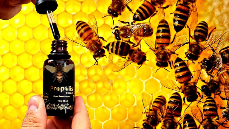 Epoha Portal Propolis