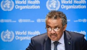 Epoha Portal Tedros