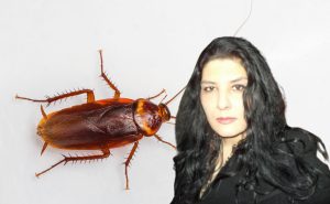 Epoha Portal Ines Knežević