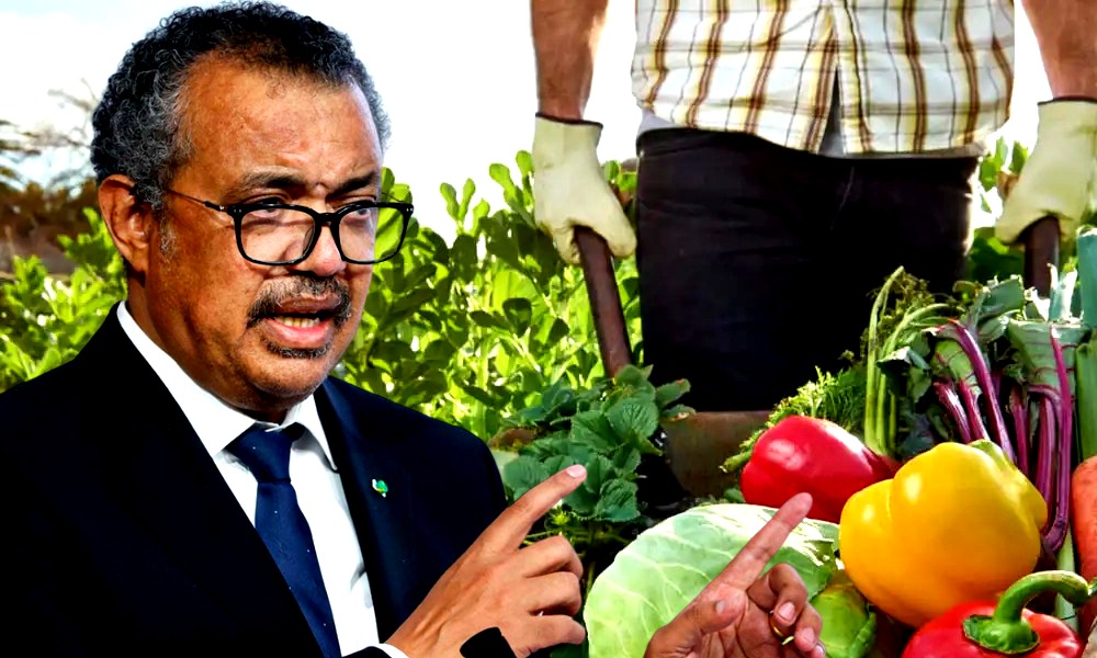 Epoha Portal Tedros Adhanom Ghebreysus