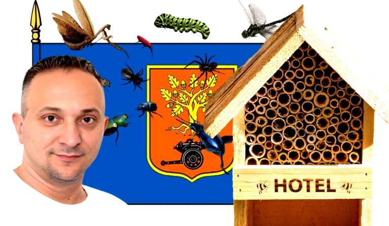 Epoha Portal Alen Liverić
