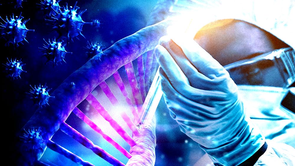 Epoha Portal Kit Knightly