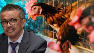 Epoha Portal Dario Novak
