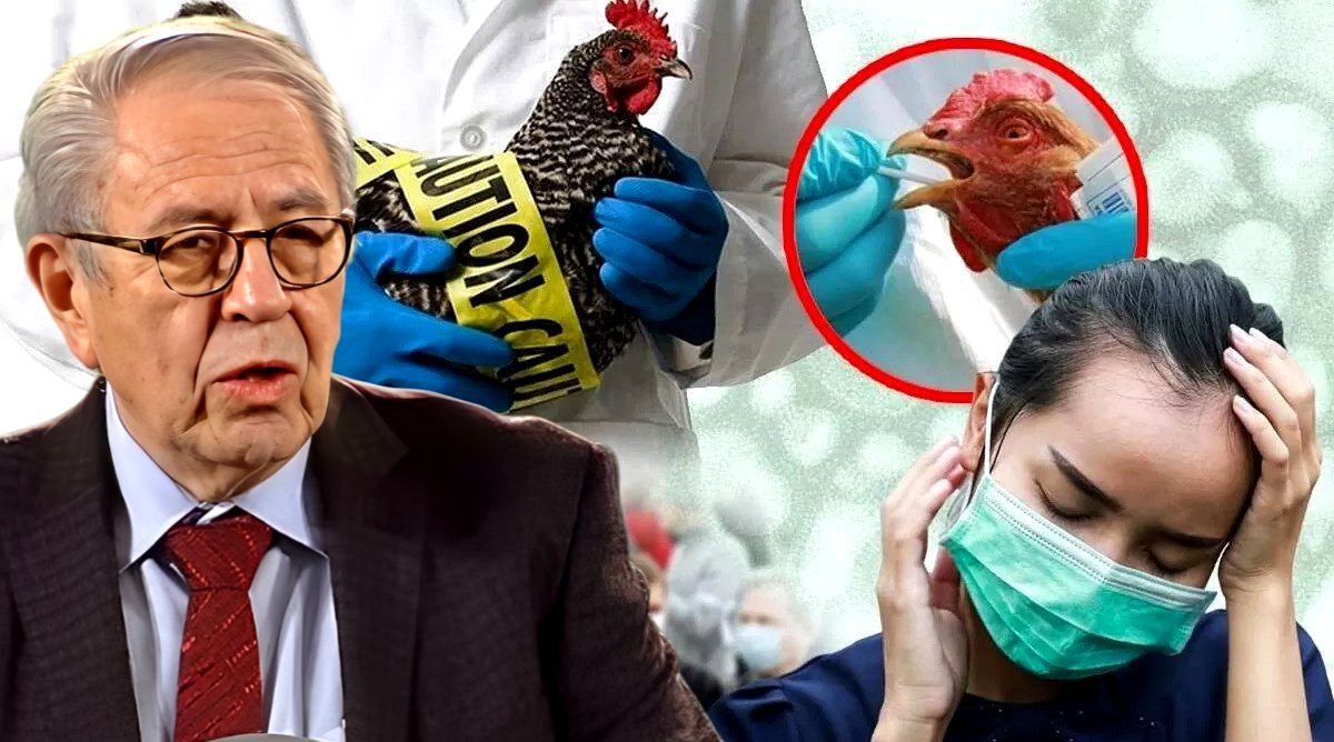 Epoha Portal Dario Novak