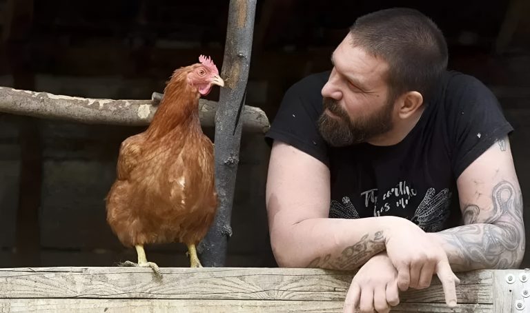 Epoha Portal Nikola Borić